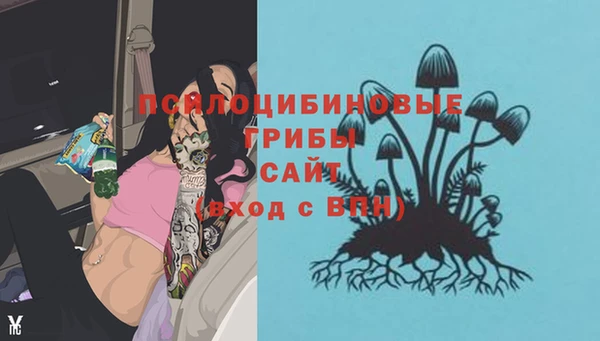 синтетический гашиш Алексеевка