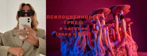 спиды Алексин