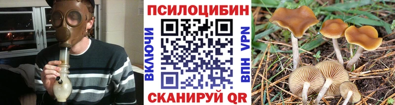 купить  цена  Красногорск  Псилоцибиновые грибы ЛСД 