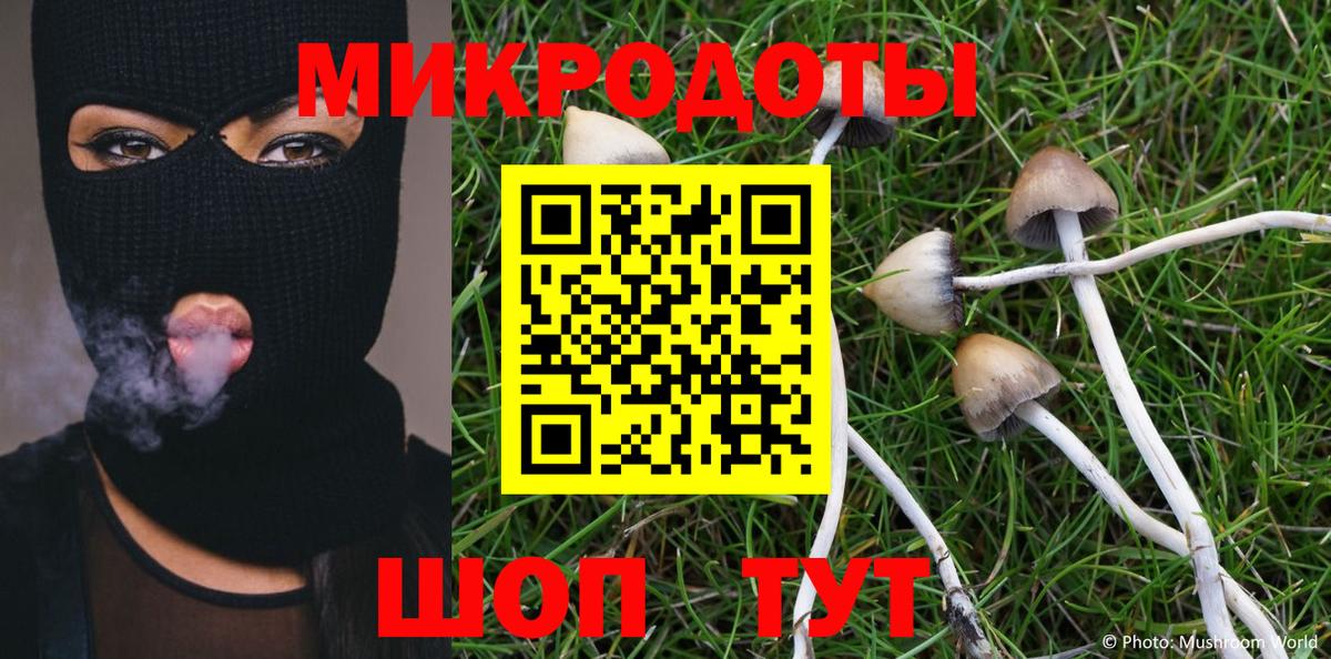 Псилоцибиновые грибы мицелий  Вход с VPN  Красногорск 